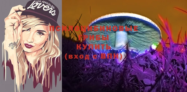 метадон Пересвет
