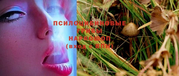 метадон Пересвет